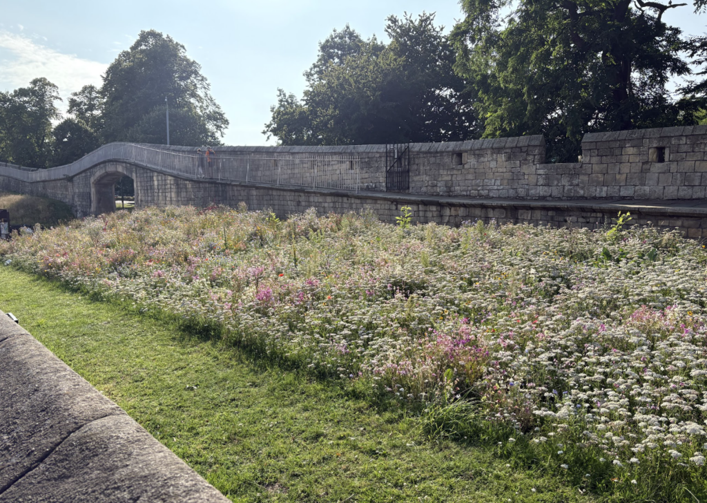 A photo of the York city walls